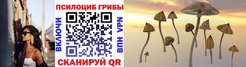 Галлюциногенные грибы MAGIC MUSHROOMS  дарк нет клад  Таганрог 